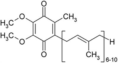 Neuroprotective effects of coenzyme Q10 on neurological diseases: a review article